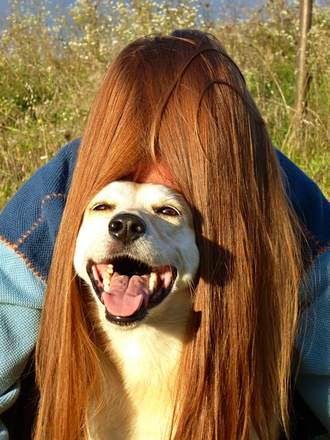 Red hairs ;-)