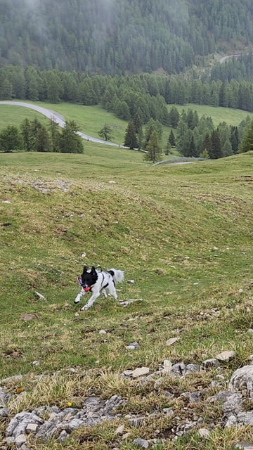Dalsie zdolane hory