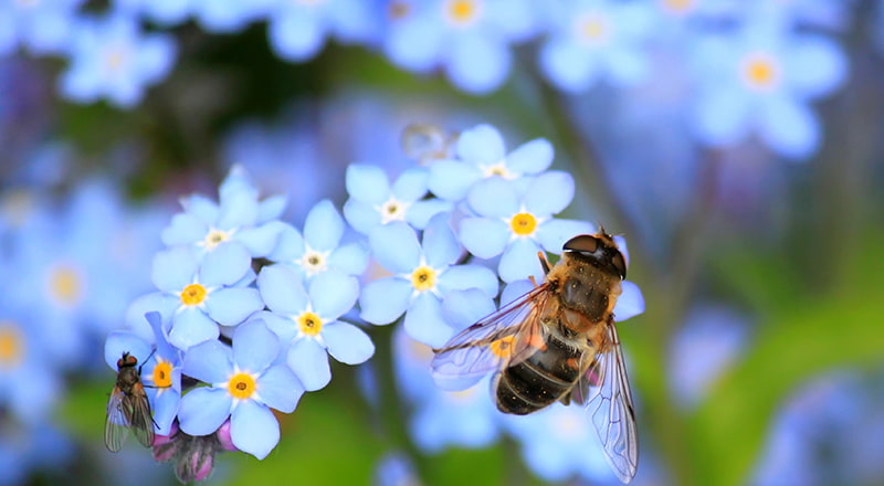 Tipy na dokonalé jarné fotografie | HappyFoto