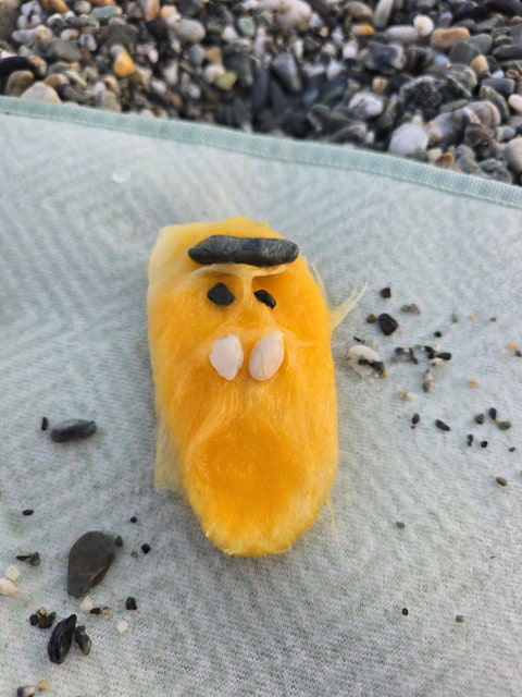 Kôstka mango ako hračka
