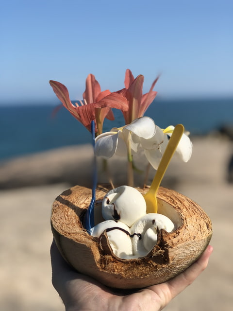 🩵 Coconut & Sea 🤍