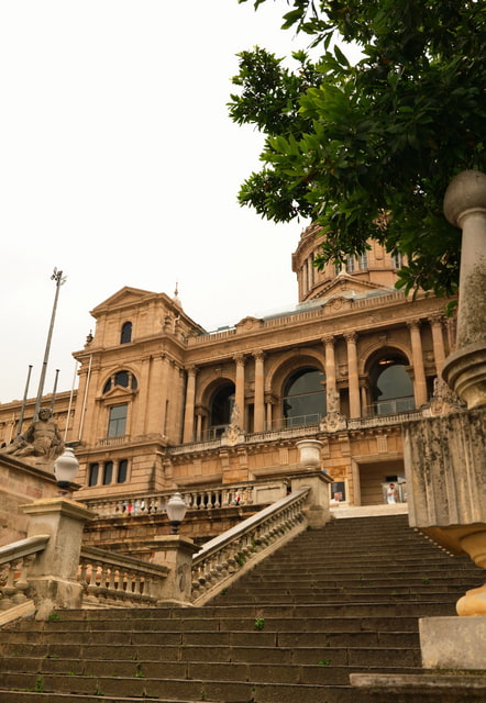 The museum 