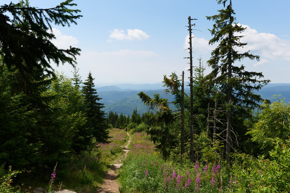 Mountain walk