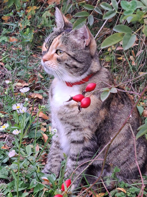 Krásna chvíľa 