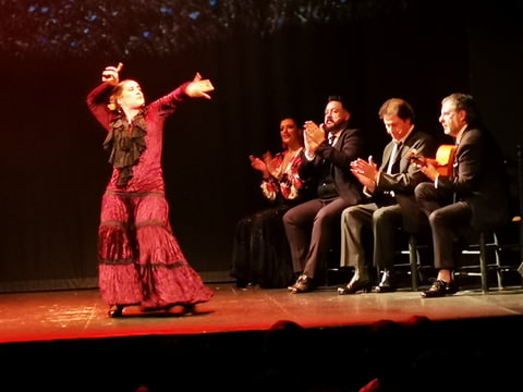 tanečnica Flamenco