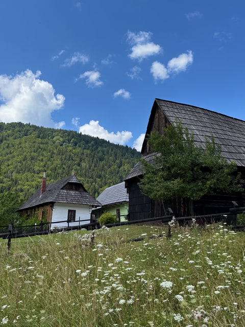 Vo vlkolínci s dievčatami 