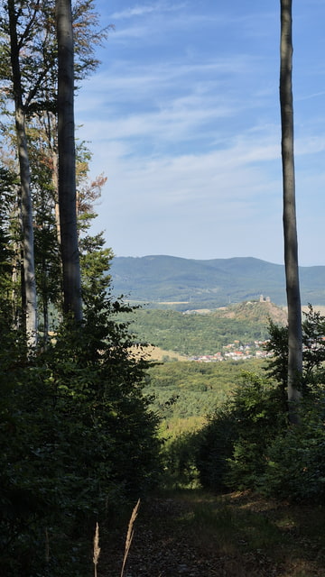 Lesík