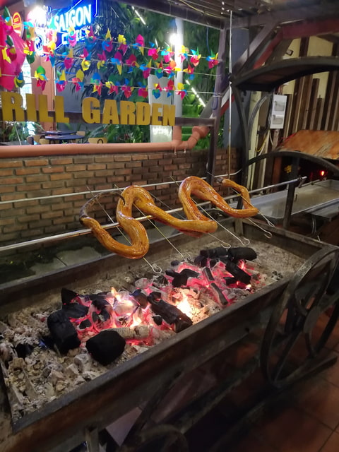 Pochúťka - grilovaný had
